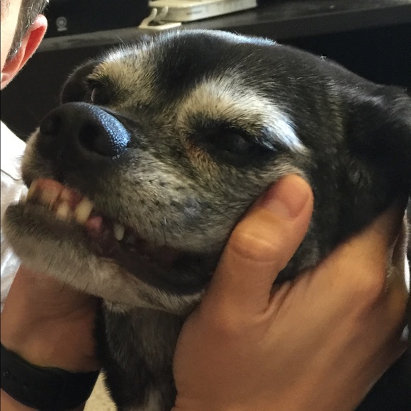 Meet your Posher, Miranda - Picture 1 of 1